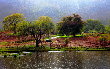 Картинка it`s raining природа реки озера река дождь деревья