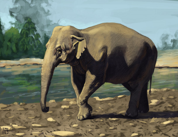 Обои картинки фото рисованные, животные, слоны, слон, животное, река, зелень, солнечно