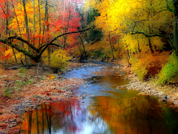 Обои картинки фото autumn, colors, природа, реки, озера, лес, река, осень, краски
