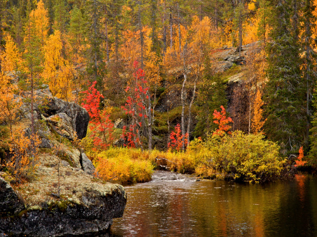 Обои картинки фото autumn, forest, природа, реки, озера, краски, осень, лес, река