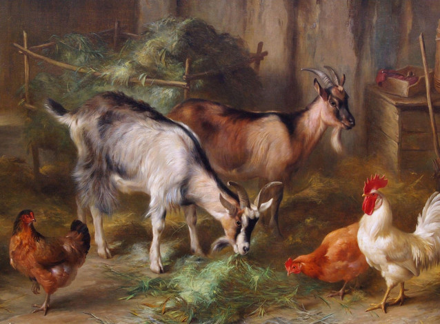 Обои картинки фото рисованные, edgar, hunt, домашние, животные, козы, и, куры