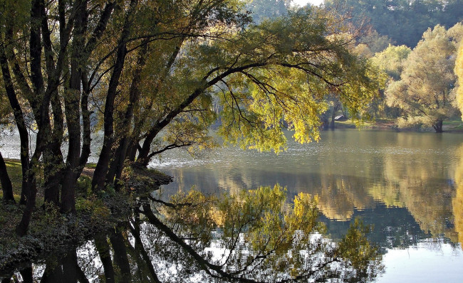 Обои картинки фото beautiful, reflection, of, autumn, природа, реки, озера, осень, отражение, деревья, река