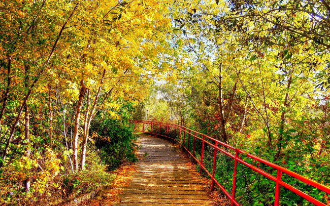 Обои картинки фото autumn, path, природа, дороги, парк, мостик, осень
