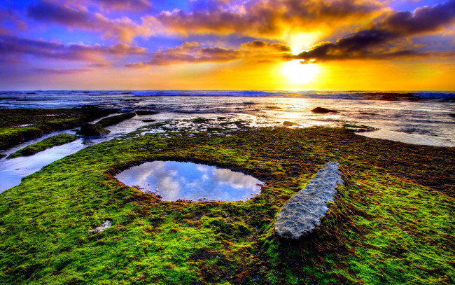 Обои картинки фото beautiful, sunset, природа, восходы, закаты, рассвет, море, пляж, трава, лужа
