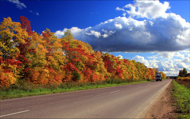 Обои картинки фото природа, дороги, лес, дорога, россия, осень