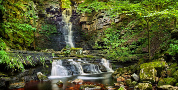 Картинка природа водопады лес река обрыв скалы камни водопад