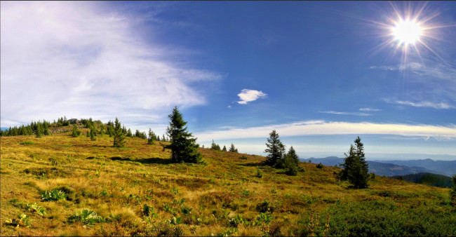 Обои картинки фото природа, пейзажи, холмы, пригорок, трава, деревья, солнце, панорама
