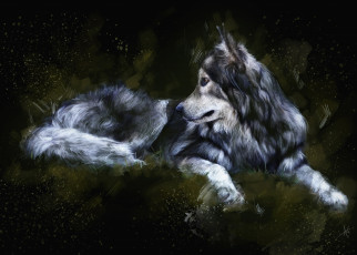 Картинка рисованные животные +волки живопись волк темный фон