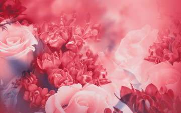 Картинка цветы разные+вместе цветение листья лепестки бутоны розовая розы