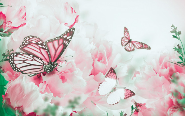 Обои картинки фото разное, компьютерный дизайн, butterfly, branch, bloom, flowers, petals, peonies, бабочки, ветки, цветение, цветы, лепестки, пионы