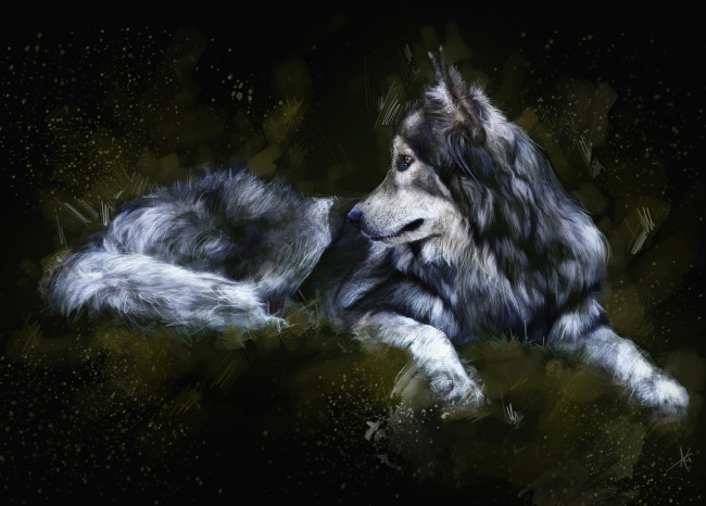 Обои картинки фото рисованные, животные,  волки, живопись, волк, темный, фон