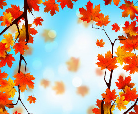 Картинка векторная+графика природа+ nature фон leaves autumn осенние листья maple
