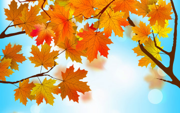 Картинка векторная+графика природа+ nature осенние фон листья autumn maple leaves