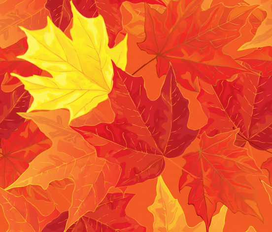Обои картинки фото векторная графика, природа , nature, фон, осенние, autumn, листья, maple, fall, leaves