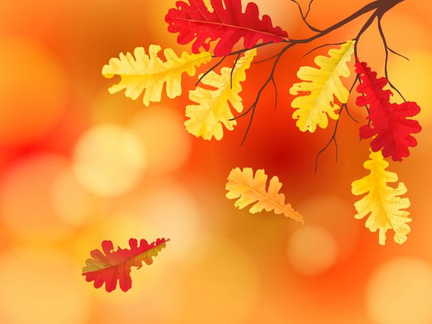 Обои картинки фото векторная графика, природа , nature, фон, осенние, листья, maple, leaves, autumn