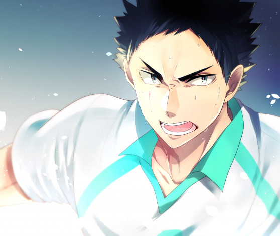 Обои картинки фото аниме, haikyuu, iwaizumi, hajime