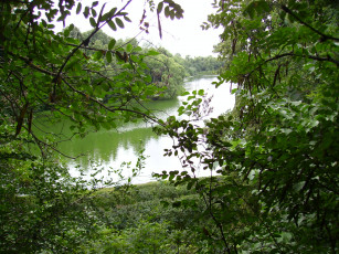 Картинка природа+летом природа реки озера водоем летом летняя+природа лето вода лес озеро