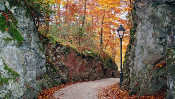 Картинка природа парк листопад осень фонарь