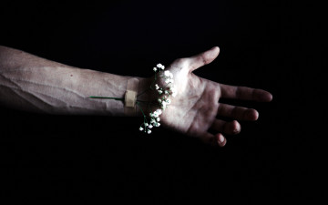 обоя разное, руки, цветок, пластырь