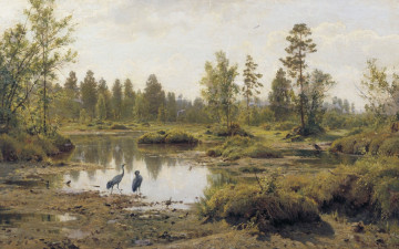 Картинка рисованное иван+шишкин цапля картина природа пейзаж птицы иван шишкин болото полесье