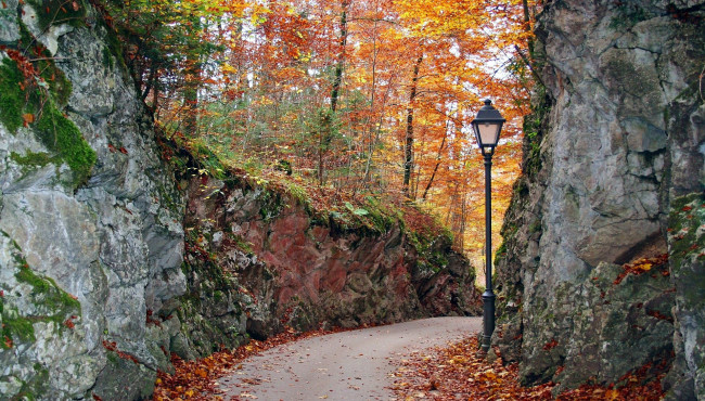 Обои картинки фото природа, парк, листопад, осень, фонарь