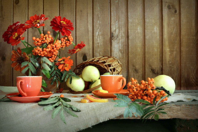 Обои картинки фото рисованное, еда, лето, яблоки, цинния, цветы, рябина, композиция