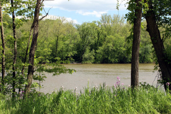 Картинка природа реки озера река лето