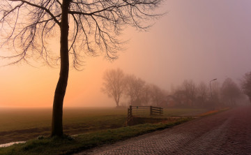 Картинка природа дороги дорога дерево утро туман