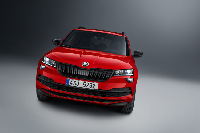 Обои картинки фото автомобили, skoda