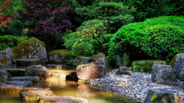 Картинка природа парк камни водоем деревья кусты