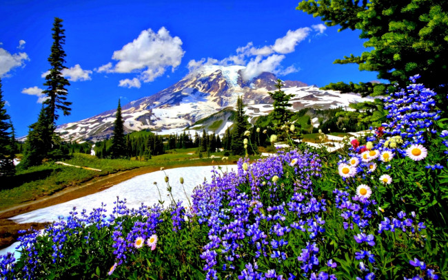 Обои картинки фото природа, горы, гора, облака, дорога, цветы