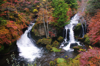 Картинка природа водопады камни вода лес