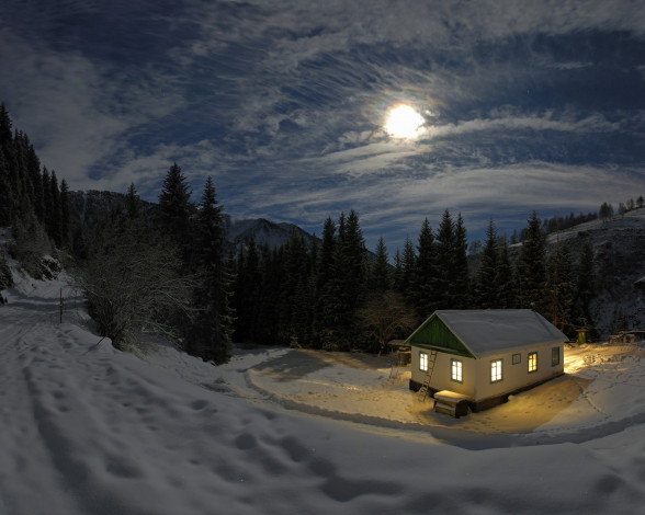 Обои картинки фото природа, зима, ночь, снег, домик, деревья, ели, луна