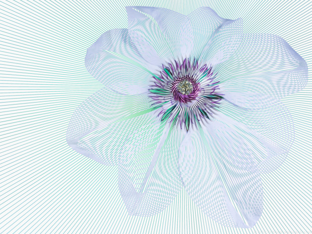 Обои картинки фото 3д, графика, flowers, цветы, цветок, линии