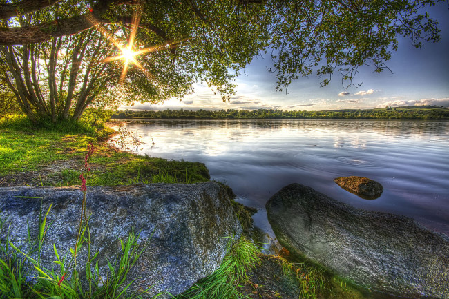 Обои картинки фото природа, реки, озера, берег, дерево, камни, река