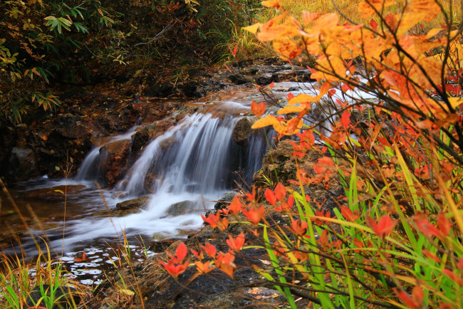 Обои картинки фото природа, водопады, камни, вода, лес, осень