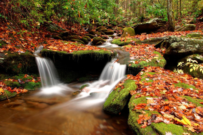 Обои картинки фото природа, водопады, река, лес, камни, листья, деревья, осень