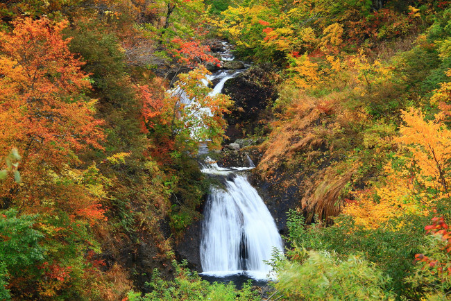 Обои картинки фото природа, водопады, вода, лес, осень, камни