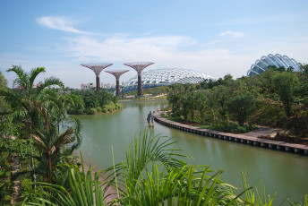 обоя города, сингапур, река, сад, парк