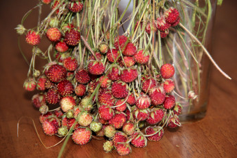 Картинка еда клубника земляника ягоды дары леса