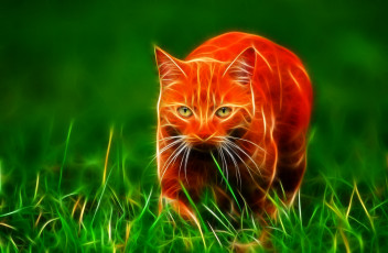 Картинка 3д графика animals животные кошка кот рыжий cat