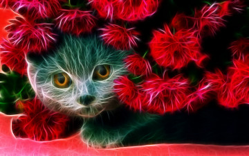Картинка 3д графика animals животные цветы кошка