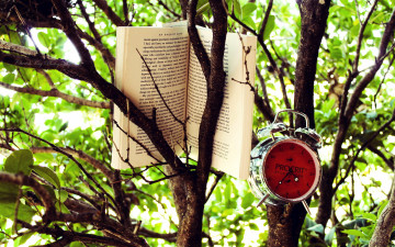 Картинка разное канцелярия книги дерево книга часы