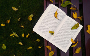 Картинка разное канцелярия книги осень листья книга