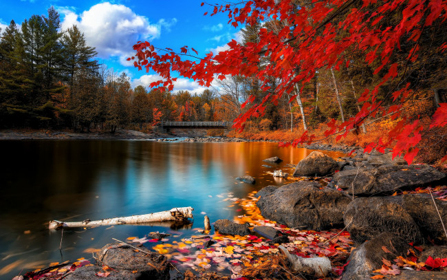 Обои картинки фото природа, реки, озера, камни, река, мост, деревья, листья, пейзаж, осень