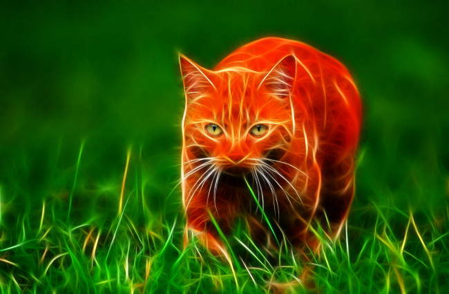 Обои картинки фото 3д, графика, animals, животные, кошка, кот, рыжий, cat
