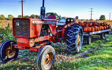 Картинка техника тракторы уборочная трактор прицеп тыквы урожай поле
