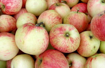 Картинка еда Яблоки яблоки фрукты плоды