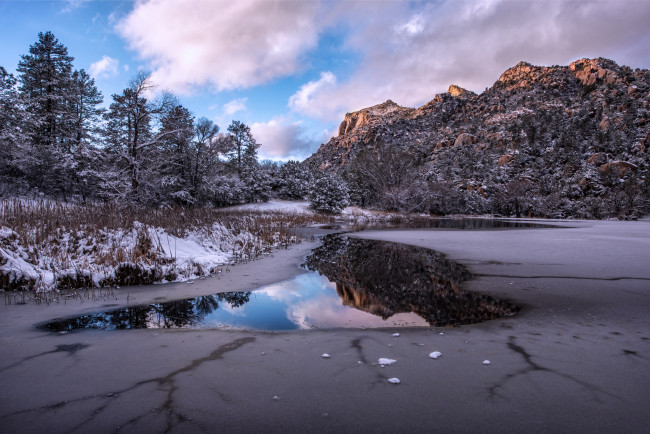 Обои картинки фото природа, зима, озеро, деревья