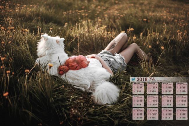 Обои картинки фото календари, девушки, растения, собака